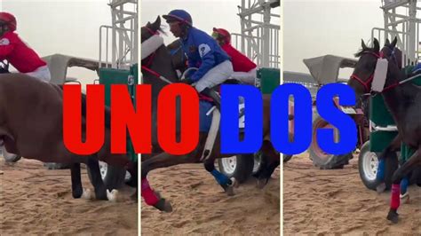 UNO DOS (TEASER) .
